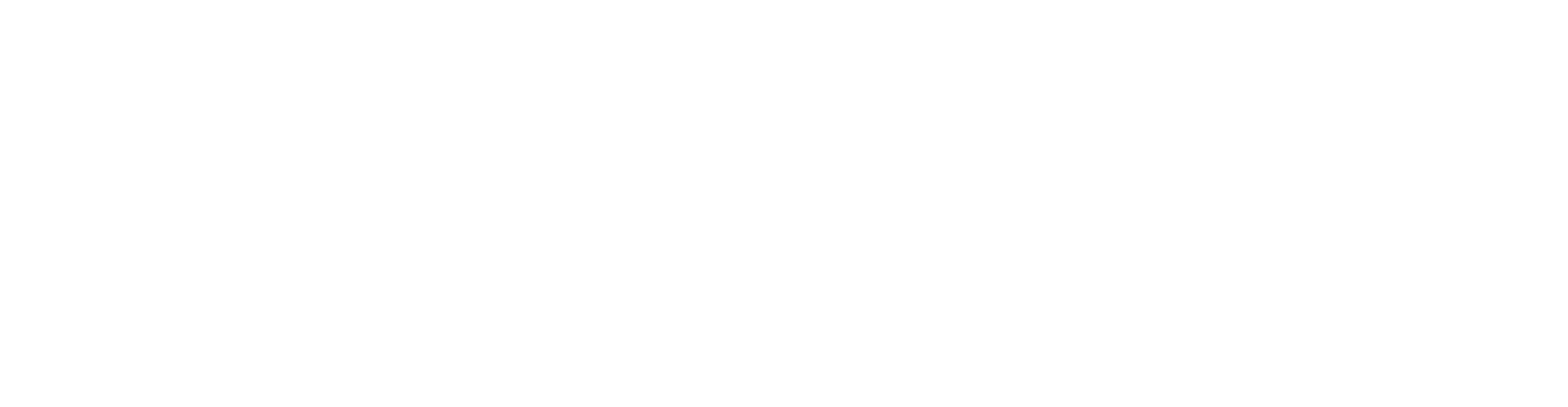 MS Productions